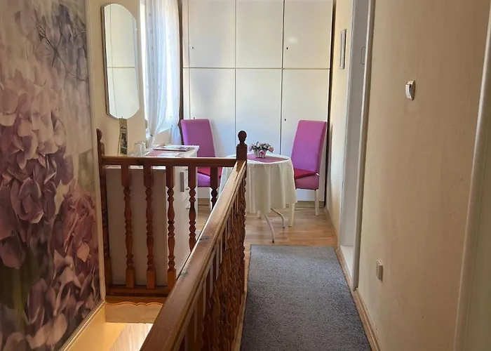 Auberge de jeunesse Mirror *