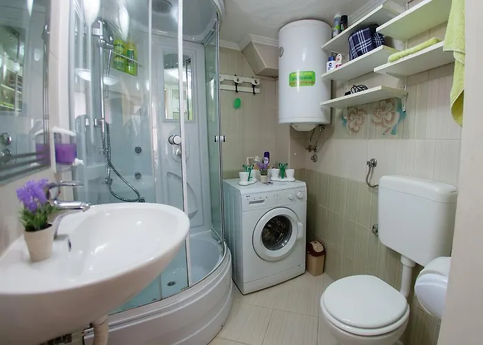 Auberge de jeunesse Mirror